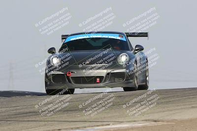 media/Nov-10-2024-GTA Finals Buttonwillow (Sun) [[9486b6e4c5]]/Group 2/Session 2 (Grapevine)/